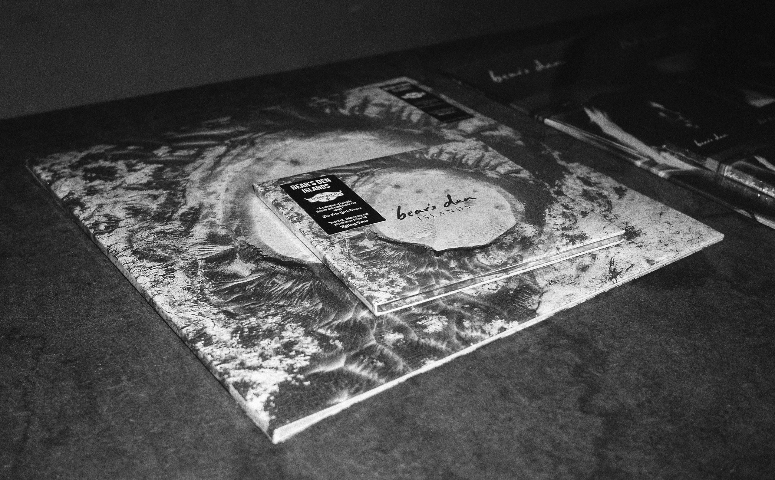 Bear's Den Islands artwork by Ty Johnson